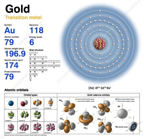 Gold, atomic structure - Stock Image - C046/0338 - Science Photo Library