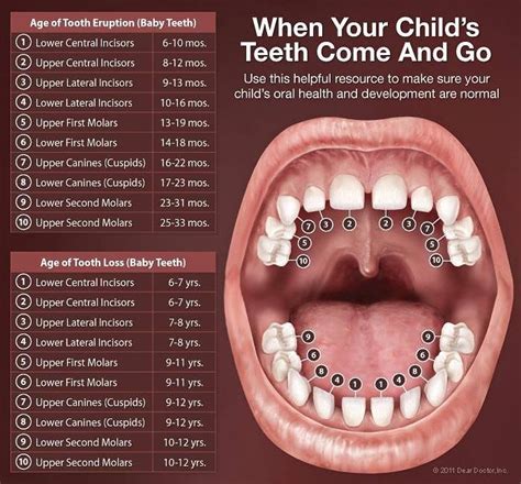 👬👭 #teeth #tooth #missing #gap #loosetooth #loose #wobbly #toothfairy # ...