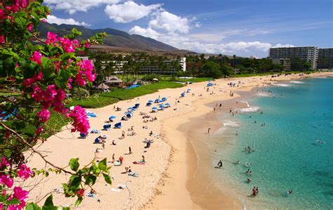 The 5 Best Beaches in Hawaiʻi in 2022 - Hawaii Magazine