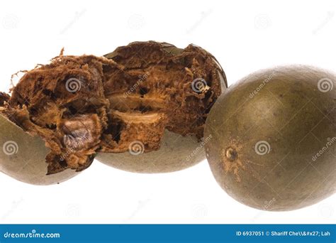 Buddha s Fruit stock image. Image of agriculture, green - 6937051