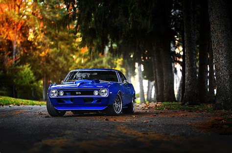 HD wallpaper: blue vehicle, Chevrolet, Muscle, 1969, Camaro, Car, Fall ...