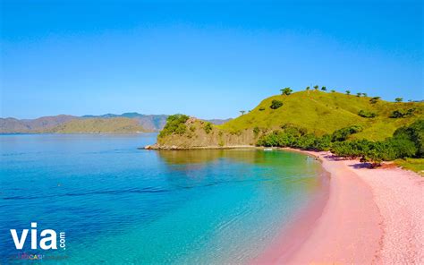 pantai pink – Via.com Indonesia Official Blog