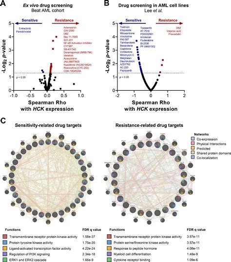 Comprehensive analysis of the HCK gene in myeloid neoplasms: Insights ...