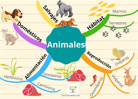 Como Crear Mapa Mental