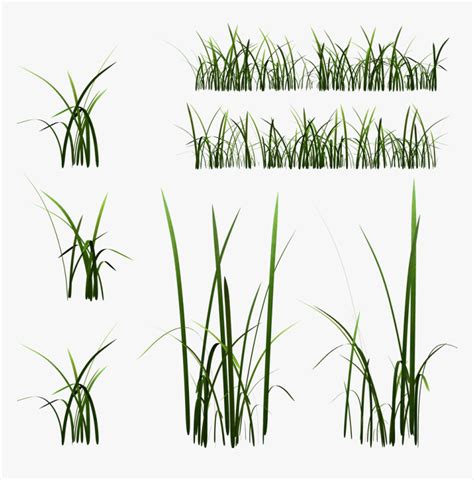 Grass Blade Texture Free, HD Png Download - kindpng