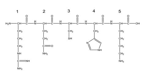 Solved Iodoacetamide specifically reacts with Cysteine | Chegg.com