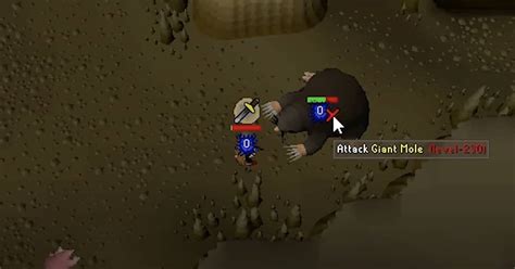 Giant Mole OSRS Guide [2022]: Go The Mole Nine Yards! - Rune Fanatics