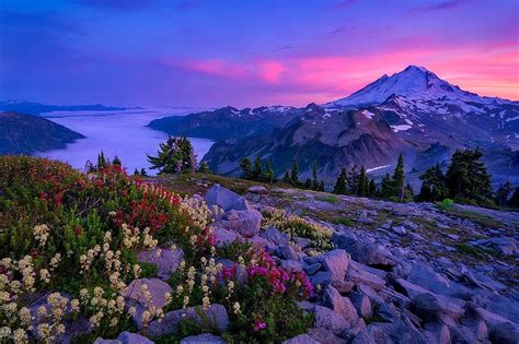 Mt. Baker at sunset, wildflowers, rocks, mountain, river, sunset ...