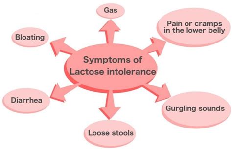 What Is Lactose Intolerance? What Are Its Causes, Symptoms And Signs?