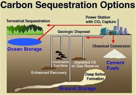 Carbon Sequestration in Soil | Agriculture, Technology, and Business Market