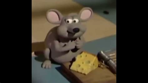 rat eating cheese - YouTube