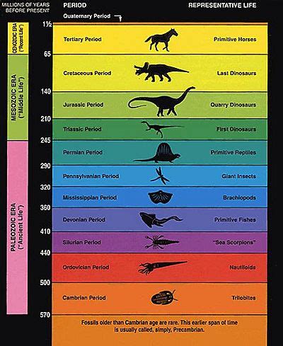 Geologic column - CreationWiki, the encyclopedia of creation science