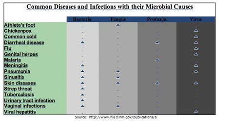 Disease Causing Micro-organisms — Safe Drinking Water Foundation