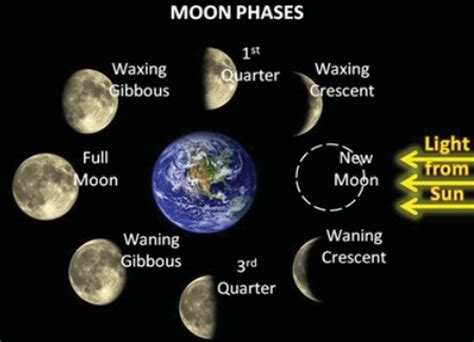 Moon Phases - Names - Mrs. Tabutol