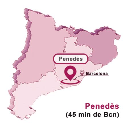 Penedès wine tour from Barcelona