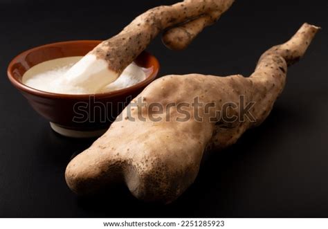 Image Shortshaped Japanese Yam Stock Photo 2251285923 | Shutterstock