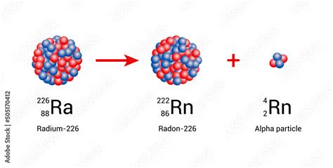 radium-226 nucleus undergoes alpha decay to form radon-222 Stock Vector ...