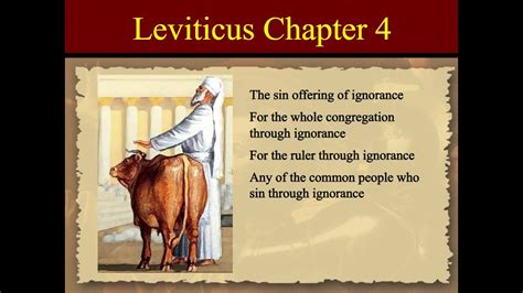 OUR DAILY BREAD: LEVITICUS CHAPTER 4 - SIN OFFERING - YouTube