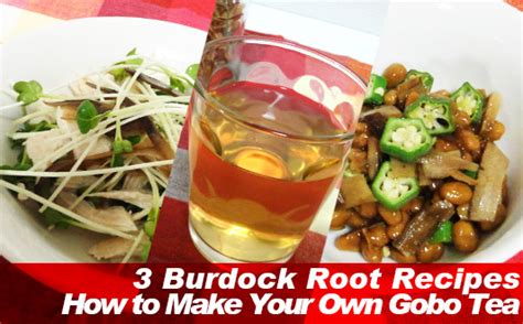 3 Burdock Root Recipes: How to Make Your Own Gobo Tea | Slism