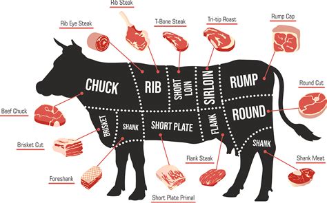 The [Definitive] Guide to Beef Cuts: All You Need to Know