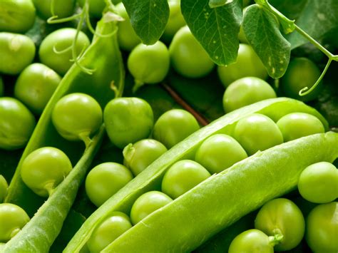 Nutritional Facts And Health Advantages of Green Peas | Latest B2B News ...