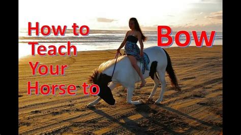 How To Teach Your Horse To Bow? • Support Wild