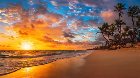 Earth, beach, Sunset, HD wallpaper | Peakpx