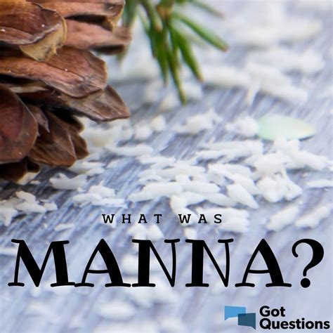 What was manna? | GotQuestions.org