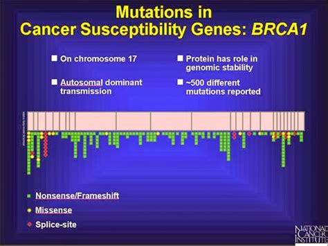 What is a BRCA test? - Jason-X