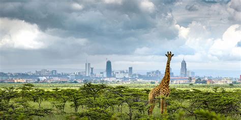 NAIROBI NATIONAL PARK | Africa Runners Company