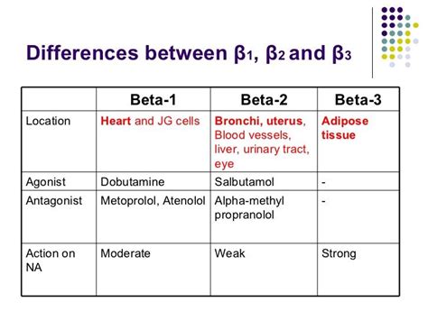 location of beta receptors in body - Google Search | Nursing school ...