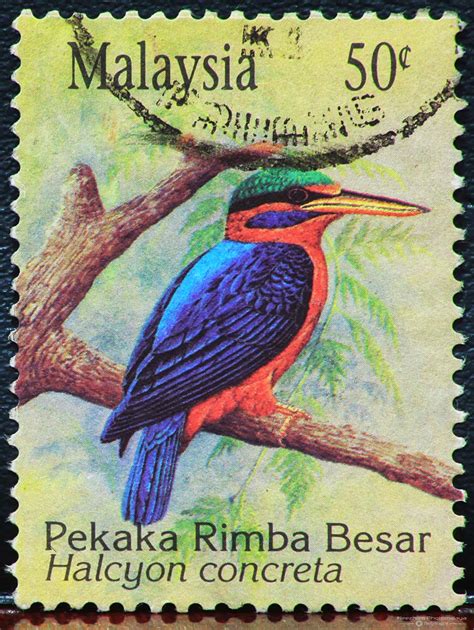 Malaysia Birds Stamps | Stamps Gallery