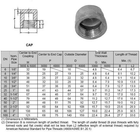 Threaded Cap Fitting and ASME B16.11 Stainless Steel NPT End Caps