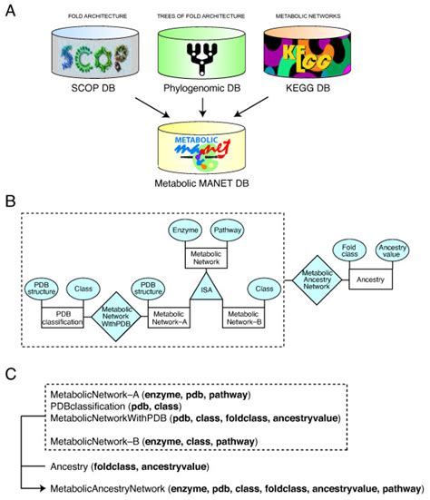 Principles of database design. A. The metabolic MANET database links ...