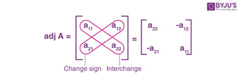 Adjoint of a Matrix (Adjugate Matrix) - Definition, Formula, Examples