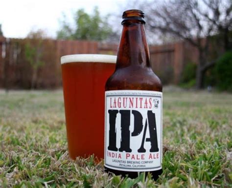 Top 20 IPA Beer Brands You Can Buy from Stores