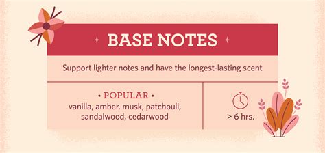 Fragrance Notes: Everything You Need to Know | FragranceX