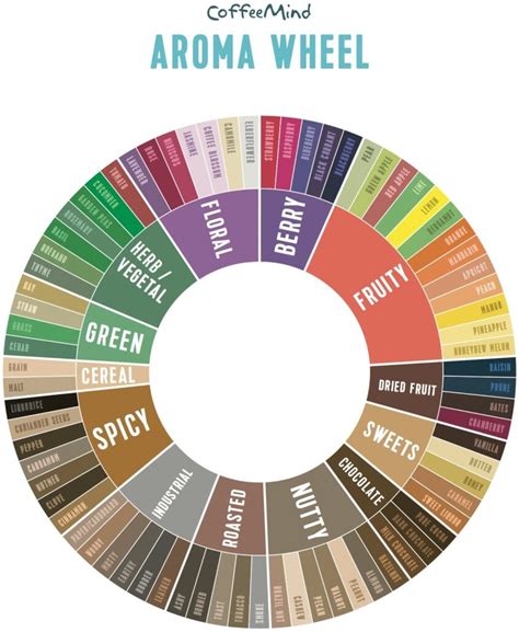 CoffeeMind Aroma Wheel – CoffeeMind