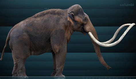 columbian mammoth by serchio25 on DeviantArt