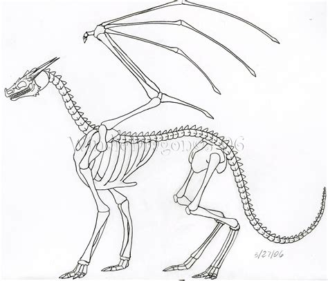 Dragon Skeleton by WindieDragon on DeviantArt