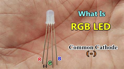 Rgb common cathode led vs common anode - quadFlex