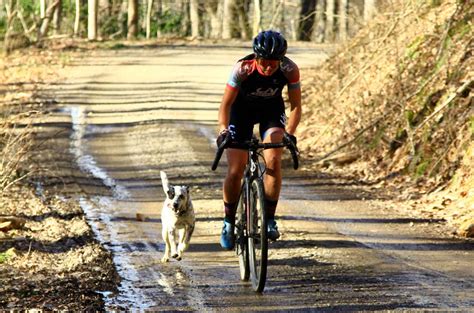 Best Gravel Bike Routes in the Appalachian Mountains | Liv Cycling