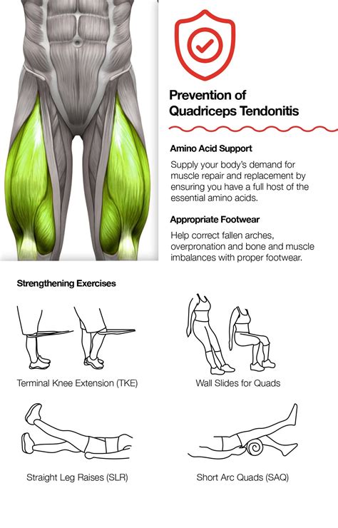 Quadriceps Tendonitis Symptoms Stretches Strengthening Solutions | The ...