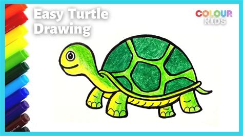 Easy Turtle Drawing and Coloring | Step by Step Simple Turtle Drawing ...