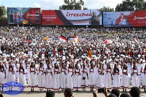 Irreecha celebration in Addis Ababa | Cultural dance, Celebrities, Ethiopia