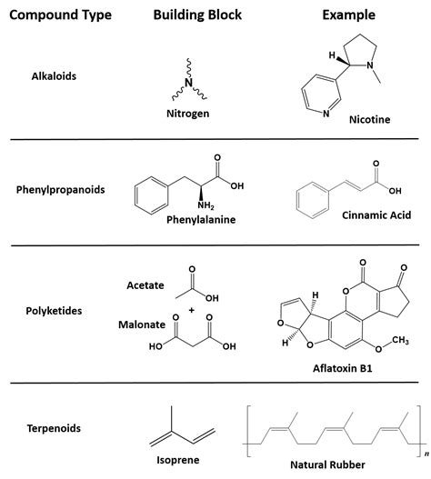 CH105: Chapter 6 – A Brief History of Natural Products and Organic ...