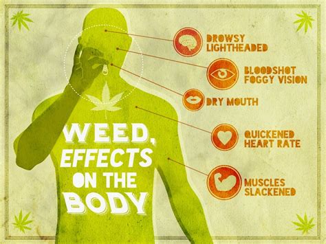 Weed, effects on the body.