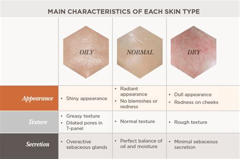 Difference Between Skin Types & Skin Conditions? | Environ Skin Care