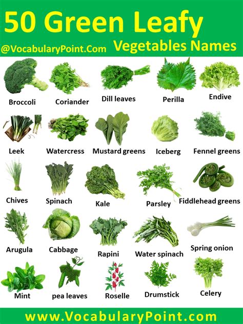 50+ Green Leafy Vegetables Names in English With Pictures - Vocabulary ...