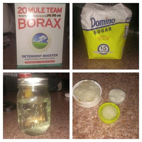 A Simple Borax Ant Killer Recipe That Actually Works 100% - Borax Ant ...